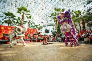 Celebrate Chinese culture at Navy Pier. Photo complements of Chinese Fine Arts Society