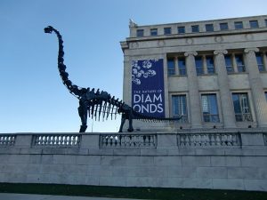 The Field Museum is known as a good place to visit dinosaurs. All photos by Jodie Jacobs