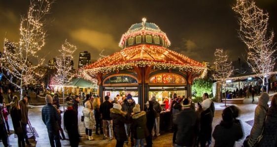 Zoo Lights at Lincoln Park Zoo