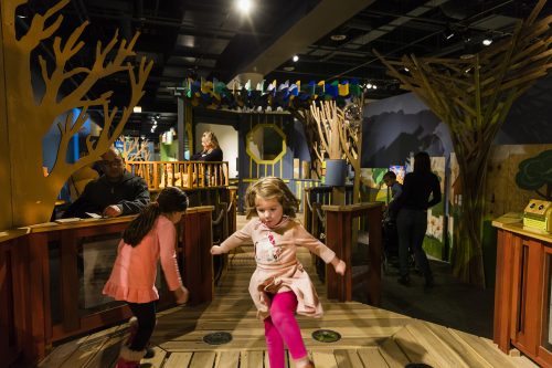 Peggy Notebaert Nature Museum for butterflies, tree houses and the Thomas D. Mangelsen photography exhibit. (Photo courtesy of the Nature Museum)