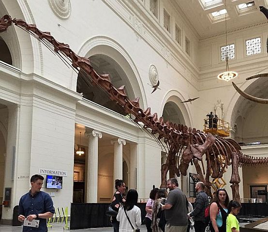 Field Museum features dinos and mummies. (J Jacobs photo)
