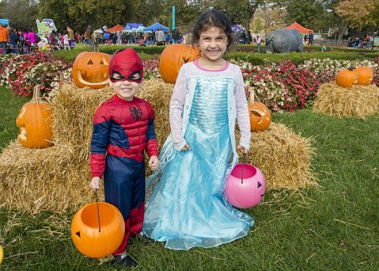 Youngsters like to dress up for Boo at the Zoo presented by Ferrara, (Photo credit Chicago Zoological Society)
