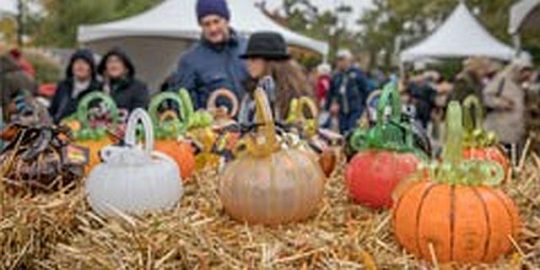 Glass pumpkins at the Morton Arboretum. (Photo courtesy of MortonArb)