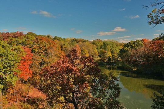 Fall at the Morton Arboretum. (Photo courtesy of MortonArb)