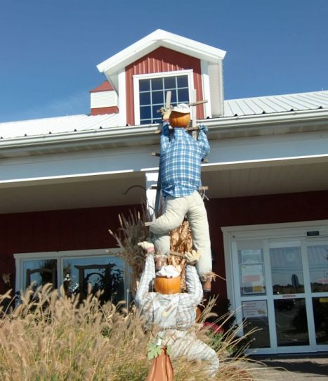 Funny characters live at Tom's Farm Market during Fall Festival time. (J Jacobs photo)