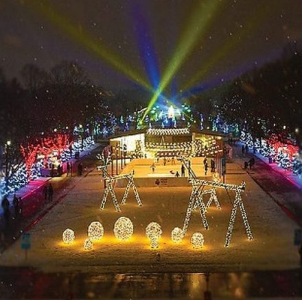 Holiday Magic (East Mall) at Brookfield Zoo. (Brookfield Zoo photo)