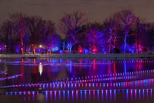 Meadow Lake Magic during Morton Arboretum's Illumination. (Morton Arboretum photo)