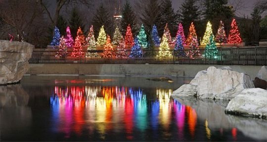 ZooLights is a fun time to visit Lincoln Park Zoo. (Lincoln Park Zoo photo)