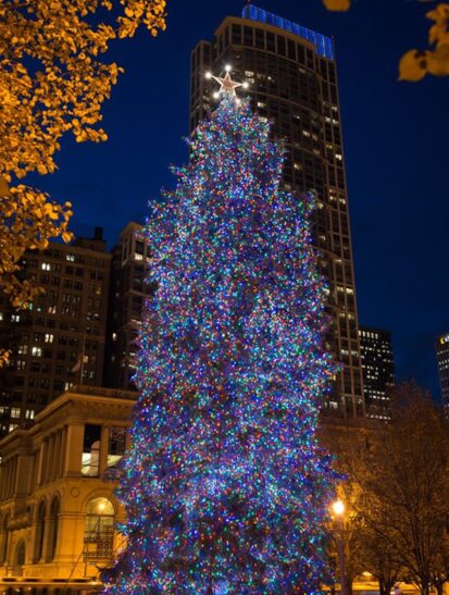 City of Chicago holiday tree (Photo courtesy of City of Chicago)