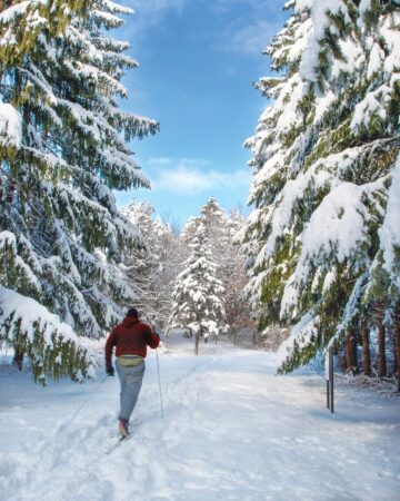 Cross-country skiers can enjoy nearly 189 miles of trails at forest preserves throughout Lake County, including at Lyons Woods in Waukegan.(Photo courtesy of Rick Myslinski)