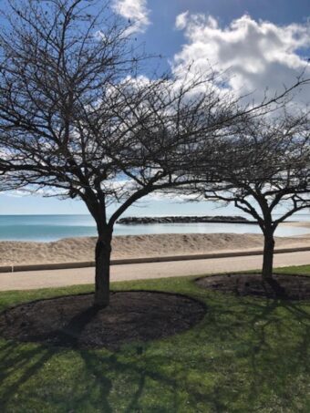 Lake Forest beach (J Jacobs photo)