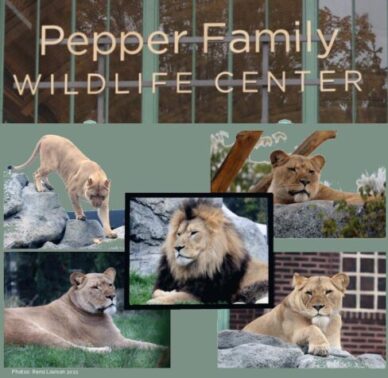 Pepper Family Wild Life Center at Lincoln Park Zoo