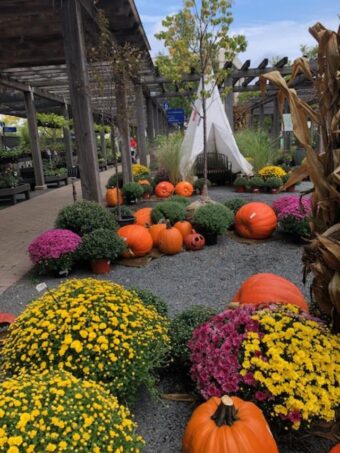 Chalet Nursery decorates for fall. (J Jacobs photo)