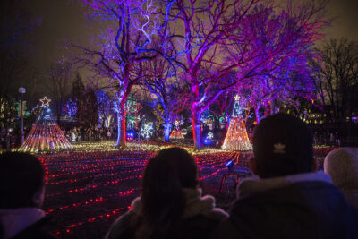 Zoolights at Lincoln Park Zoo feature an Enchanted Forest and a Light Maze in 2021. (Photo courtesy of Lincoln Park Zoo)