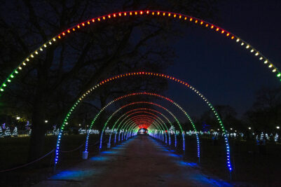 Brookfield Zoo Tunnel of Light sponsored by Xfinity. (Chicago Zoological Society photo)