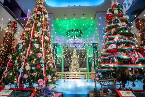 Museum of Science and Industry open its Christmas Around the World and Holidays light on an Illinois free day. (Photo courtesy of Museum of Science and Industry)