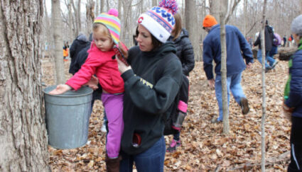 River Trail Nature center in Cook County holds Maple sap programs (Photo by Photo by Amanda Nieves.)