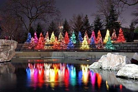 Lincoln P:ark Zoolights(Photo by Jodie Jacobs) 