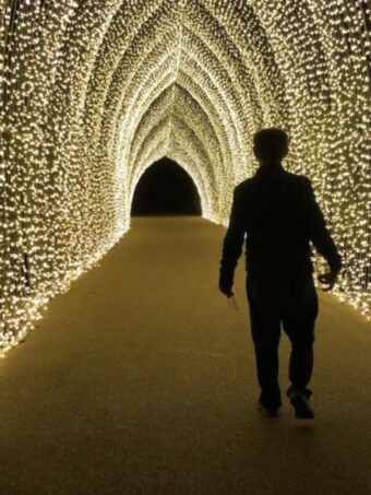 A visitor to Lightscape enters the olden Cathedral (J Jacobs photg)