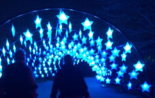 star tunnel at Lightscape (J Jacobs photo)