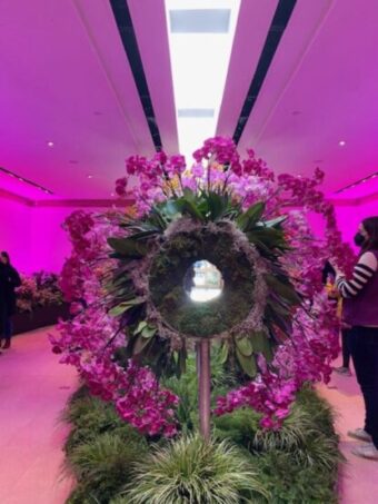 Floral covered zoom lens introduces the Chicago Botanic Garden Orchid Show.